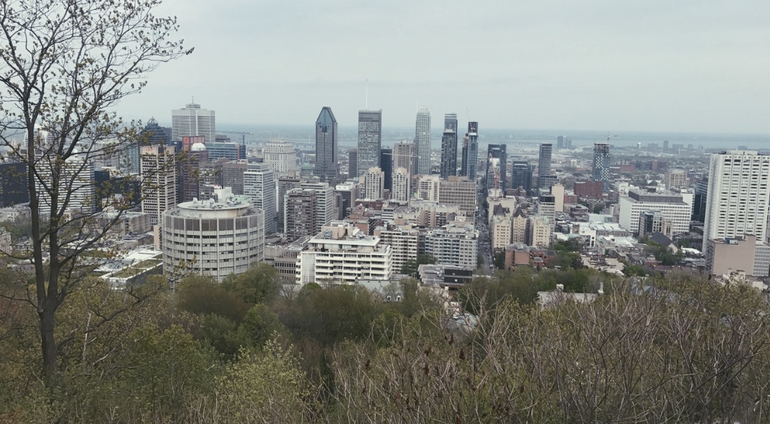 La imagen tiene un atributo ALT vacío; su nombre de archivo es foto-1-5-19-10-02-35-a.-m..jpg